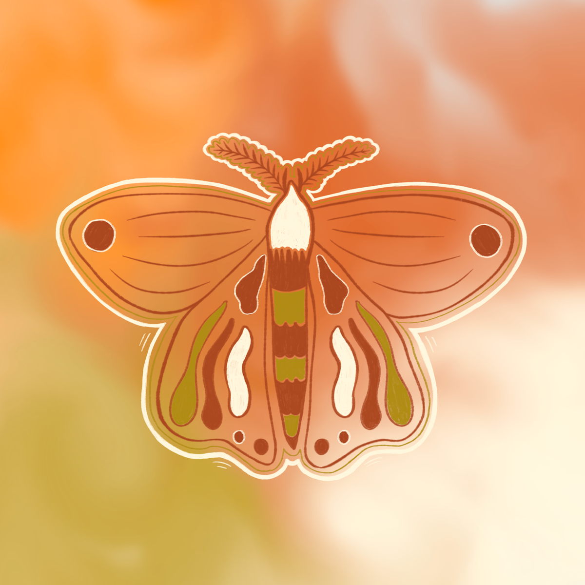 insectes_1_web